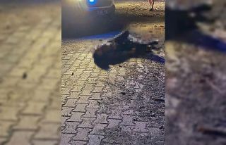 Husumetlisini öldüren şahıs polise teslim oldu
