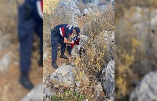 İki gündür kayıp olarak aranan kadın ormanlık...