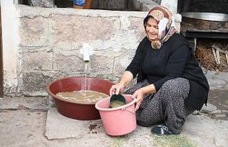 İncesu üzümünün pekmeze dönüşüm yolculuğu