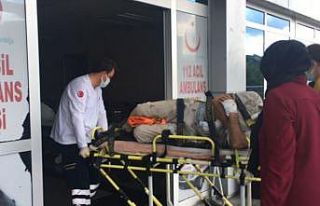 İncir ağacından düşerek yaralandı