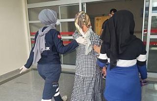 İncir toplarken merdivenden düşen kadın yaralandı