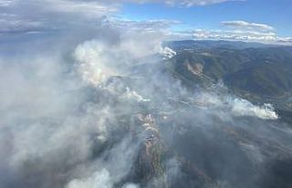 İspanya’da bin 500 hektar ormanlık alan küle...