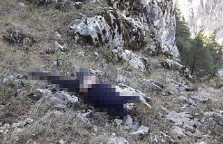 Isparta’da 4 gündür kayıp olan Alişan’ın...