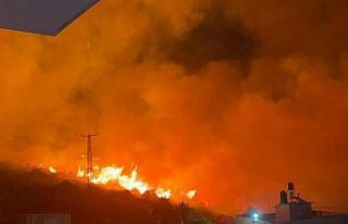 İsrail’de orman yangını