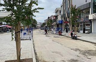İstanbul Caddesi ağaçlandırıldı