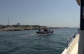 İstanbul İl Tarım ve Orman Müdürlüğü, midye...
