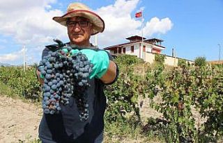 İtalya vatandaşı Merzifonlu muhtar ‘Merzifon...
