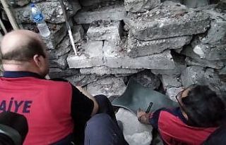 İtfaiyeciler taşların arasına düşen yavru köpekleri...