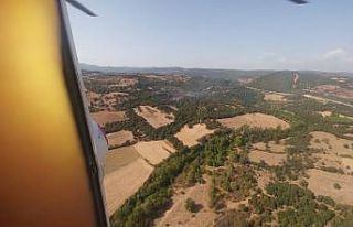 İvrindi’de çıkan orman yangını büyümeden...