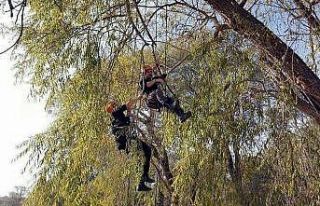 İzmir depreminden etkilenip gönüllü arama kurtarma...