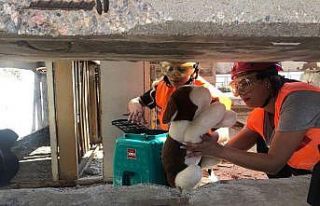 İzmir İtfaiyesinden afette kurtarılacak can dostlar...