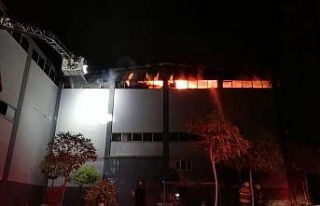 İzmir’de orman ürünleri depo ve atölyesinde...