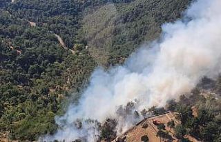 İzmir’de orman yangını başladı
