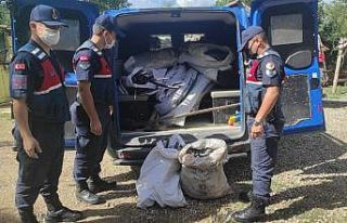 Kablo hırsızlığı şüphelisi tutuklandı