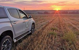 Kaçak avcı avladığı 2 bıldırcın ile suçüstü...