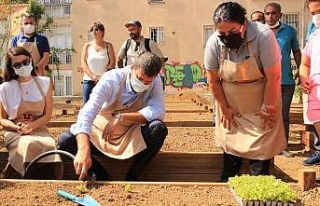 Kadıköy bostanlarının açılışı gerçekleşti