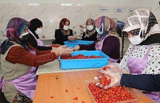 Kadınlar hem üretiyor hem de bütçelerine katkı...
