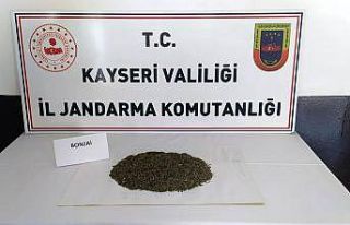 Kadınların çantalarında yarım kilo bonzai çıktı