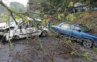 Kafa kafaya çarpıştılar: 2 yaralı