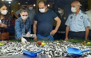 Kağıthane’de semt pazarlarında balık denetimi