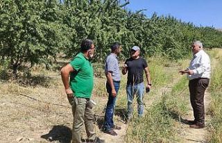 Kahta Ziraat Odası kuraklıkla mücadele için çalışıyor