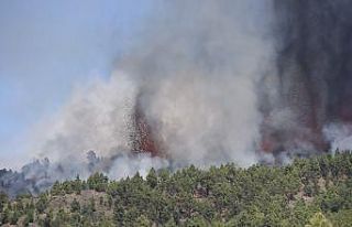 Kanarya Adaları’nda yanardağ patlaması