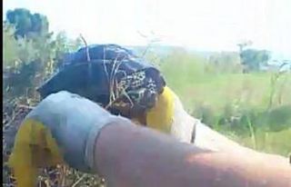 Kaplumbağa yanmaktan son anda kurtarıldı