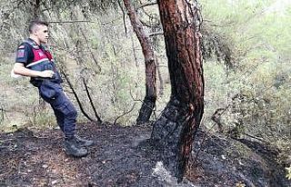 Karabük’te örtü altı yangını büyümeden söndürüldü