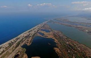 Karacabey longoz ormanlarında sonbahar güzelliği