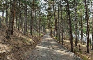 Karaköy Mesire Alanı hizmete açıldı