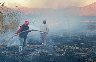 Karamık Gölü sazlık alan yangınını sülük...