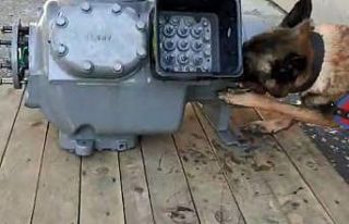 Kargoda uyuşturucu sevkiyatına jandarma engeli