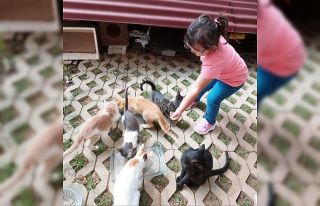 Kartal’da kreşli minikler, sevimli dostlar için...