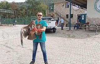 Kartallar yeniden mavi göklerle buluştu