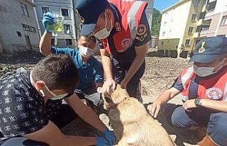 KASMİB, afet bölgesinde hizmetlerine devam ediyor