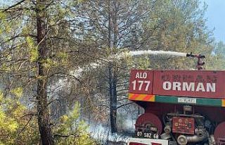 Kaş’taki orman yangını havadan ve karadan yoğun...