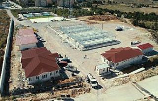 Kastamonu Belediyesi yılda 100 bin ata tohumu fidesi...