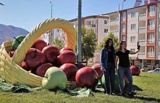 Kavşaklar elmalarla süslendi