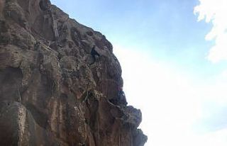 Kayalıklarda mahsur kalan keçiyi AFAD ekipleri kurtardı