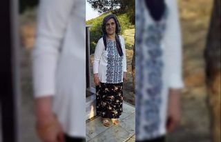 Kayıp Alzheimer hastası kadın için arama çalışması...