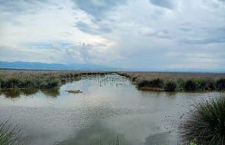 Kaymakamdan muhtarlara ’sulama suyu’ uyarısı:...