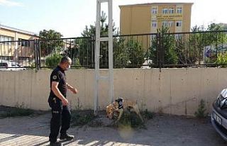 Kayseri polisinden okul bölgelerinde ’narko-okul’...
