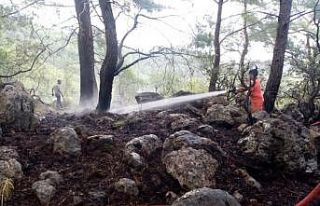 Kemer’de çıkan orman yangını büyümeden söndürüldü