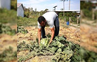 Kent Bostanları’nda tohum alma zamanı