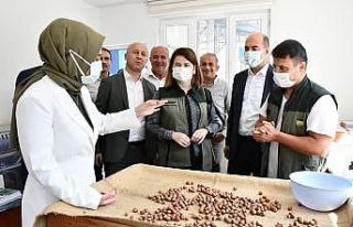 Kılıç: “Fındık bizim olmazsa olmazımız”