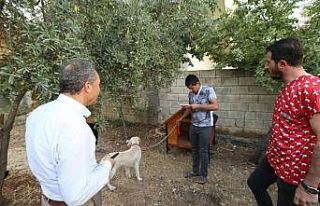 Kılınç, Furkan’a Köpek kulübesi hediye etti