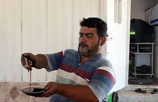 Kilis’te gün pekmezi üretimi başladı