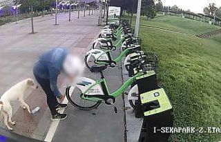 Kiralık bisikletlerin tekerlerini birer birer böyle...