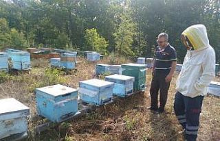 Kırklareli’nde meşe balı üreticileri bilgilendirildi