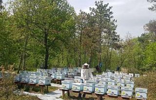 Kırklareli’nde meşe balı üreticileri denetlendi